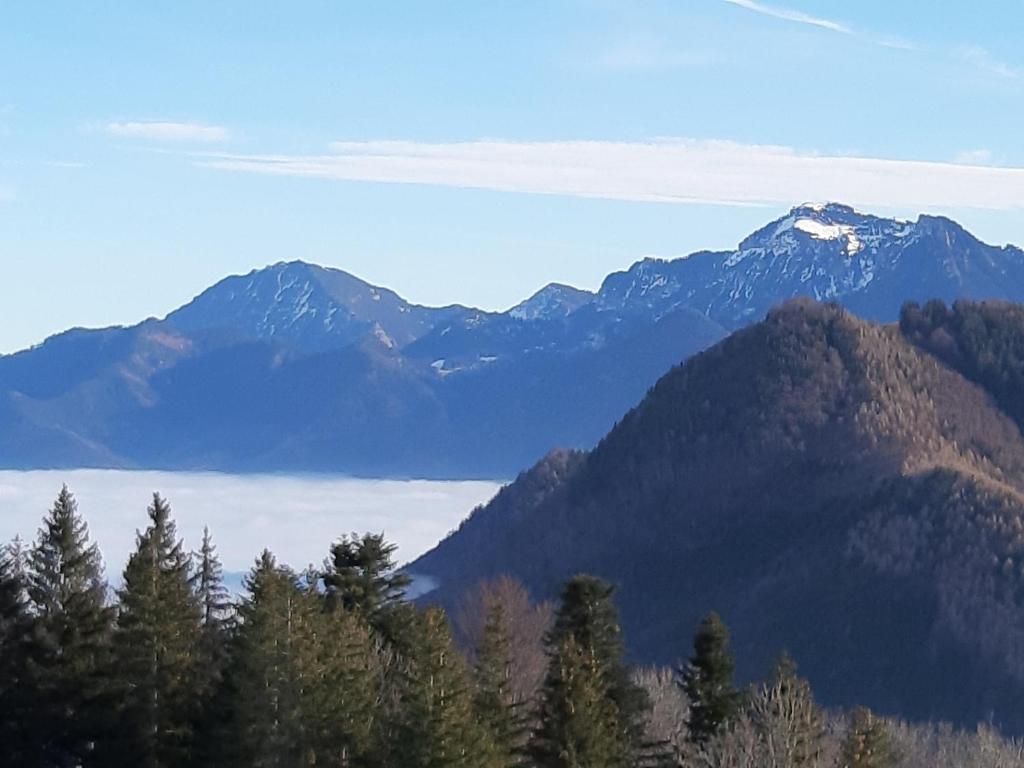 Chiemgauer Berge (3)